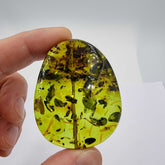 Green Amber Nugget Whit Insects Bead